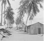 Joe_Cooper's_lodge_on_Melville_Island
