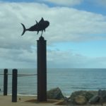 20181107 – Wednesday – South Adelaide