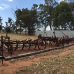 20160303 – Thursday – Hay is hot!