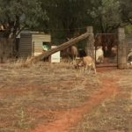 20160314 – Monday – Memorial Meeting with the Thomas’s