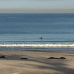 20161230 – Friday – My new-look web-site