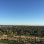 20170412 – Easter Camp – Job study by Neville Clark