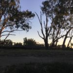 20170412 – Wednesday – decisions, where to stay, Waikerie or Glenloch?