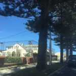 20181115 – Thursday – Swimming, Inc Cafe