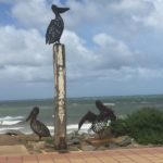 20181129 – Thursday – The day after my birthday