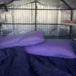 20181215-Saturday- INC cafe