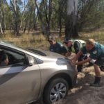 20190113 – Sunday – Toolangi to Wail National Forest