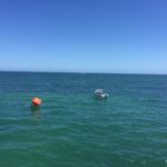 20190128 – Monday – Brighton Beach, Swim Australia